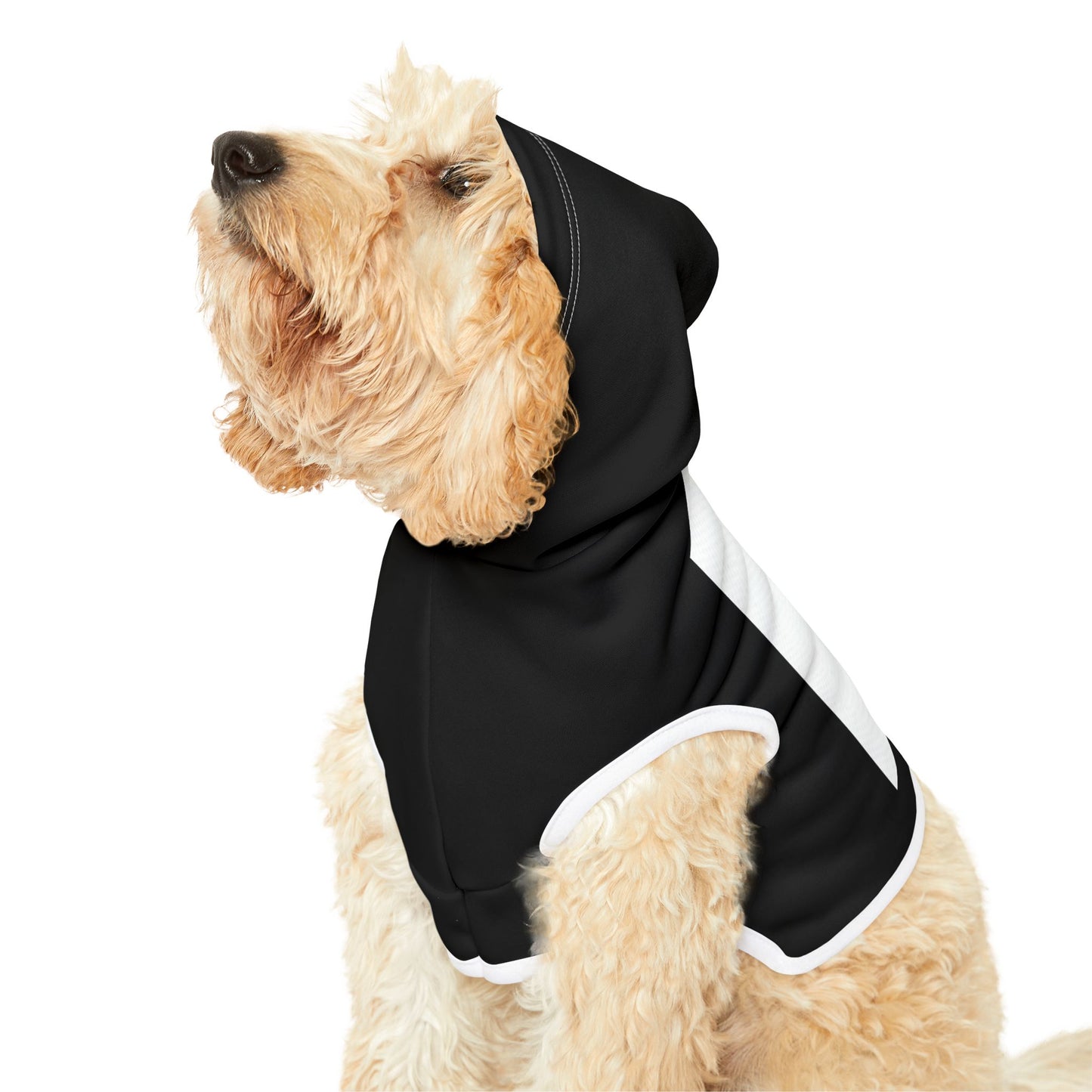 Cute Halloween Pet Hoodie, Cozy Dog Sweater, Trick or Treat Outfit, Spooky Pet Apparel, Ghostly Costume for Pets
