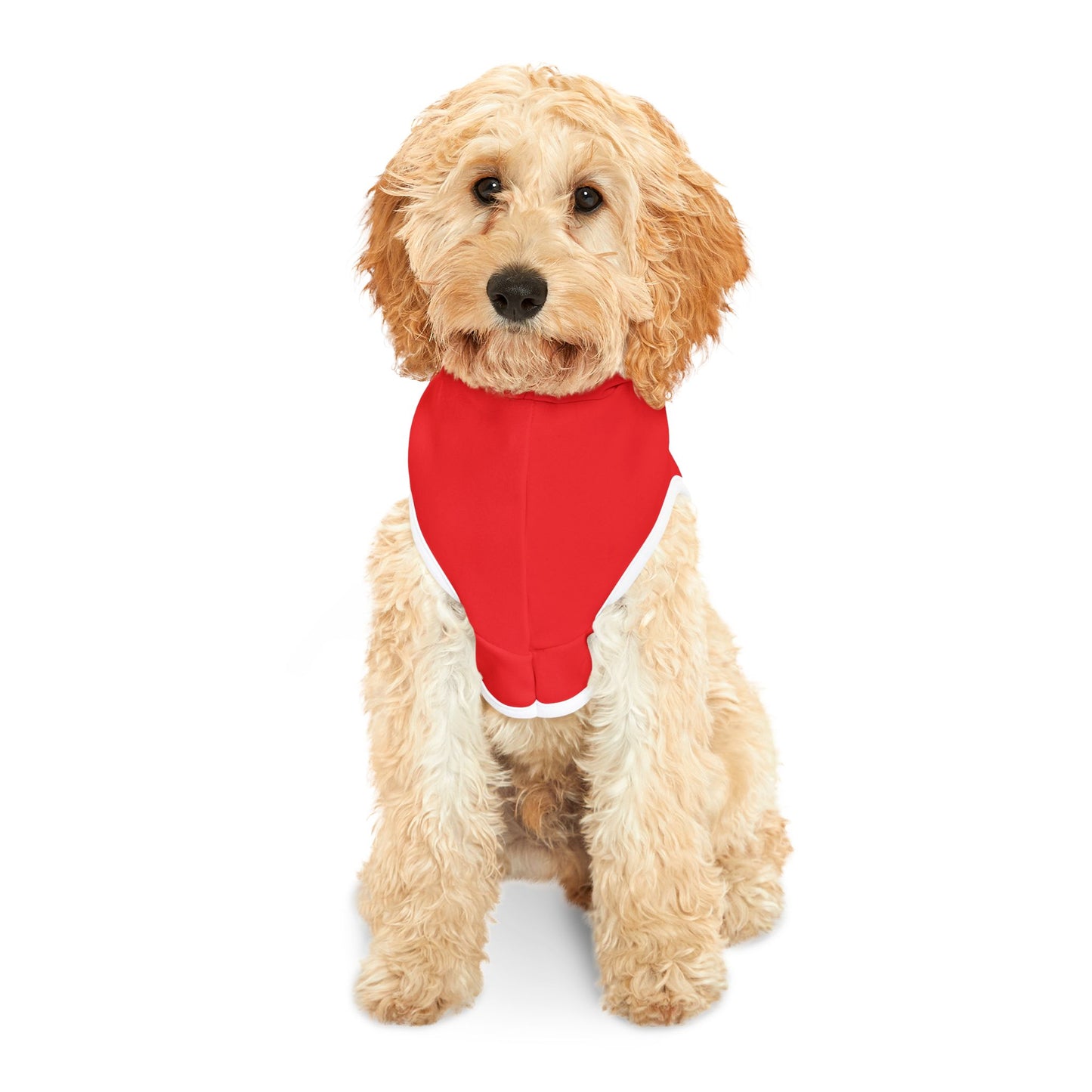 Merry Christmas Pet Hoodie, Holiday Dog Outfit, Festive Cat Clothes, Santa Paws Apparel, Winter Pet Fashion