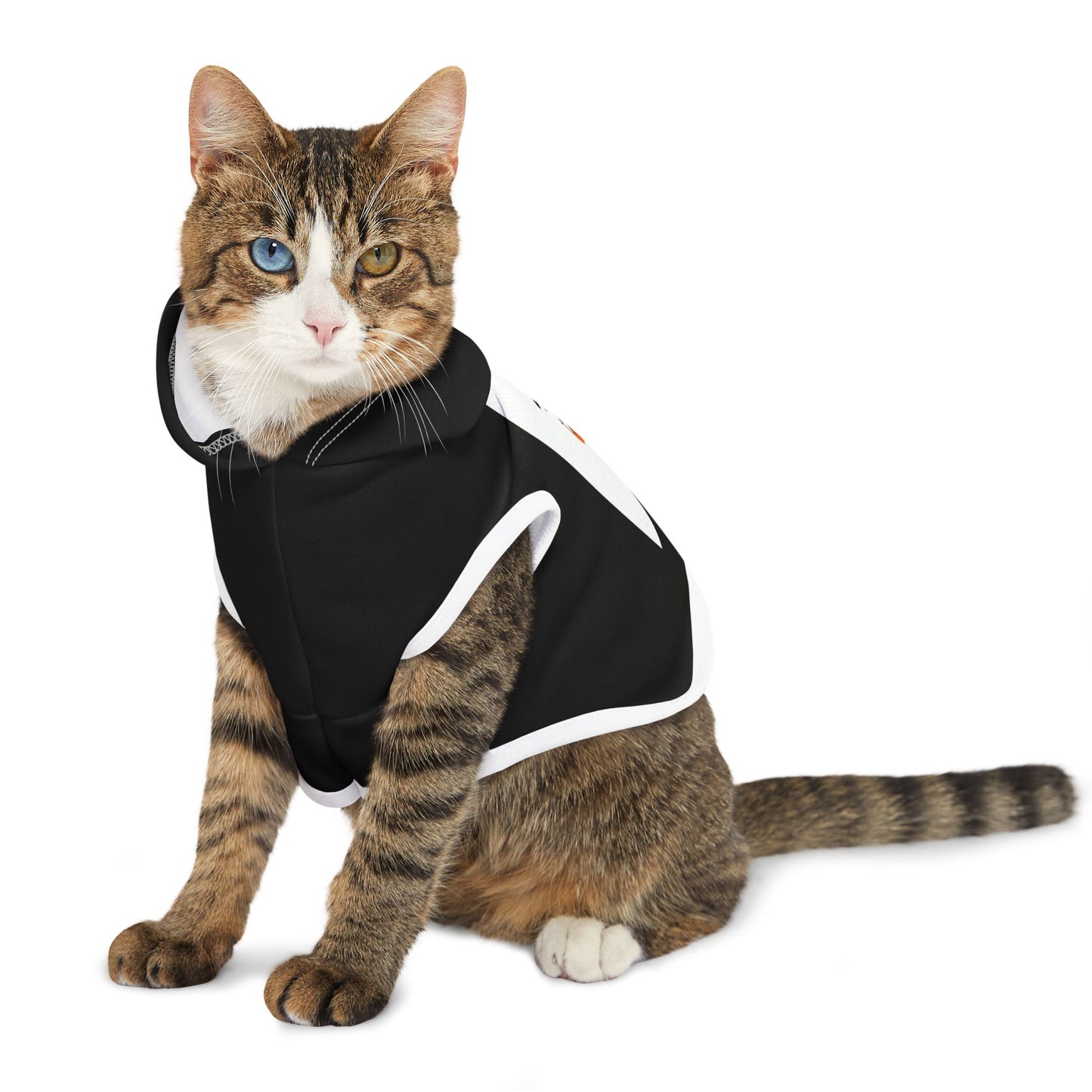 Cute Halloween Pet Hoodie, Cozy Dog Sweater, Trick or Treat Outfit, Spooky Pet Apparel, Ghostly Costume for Pets