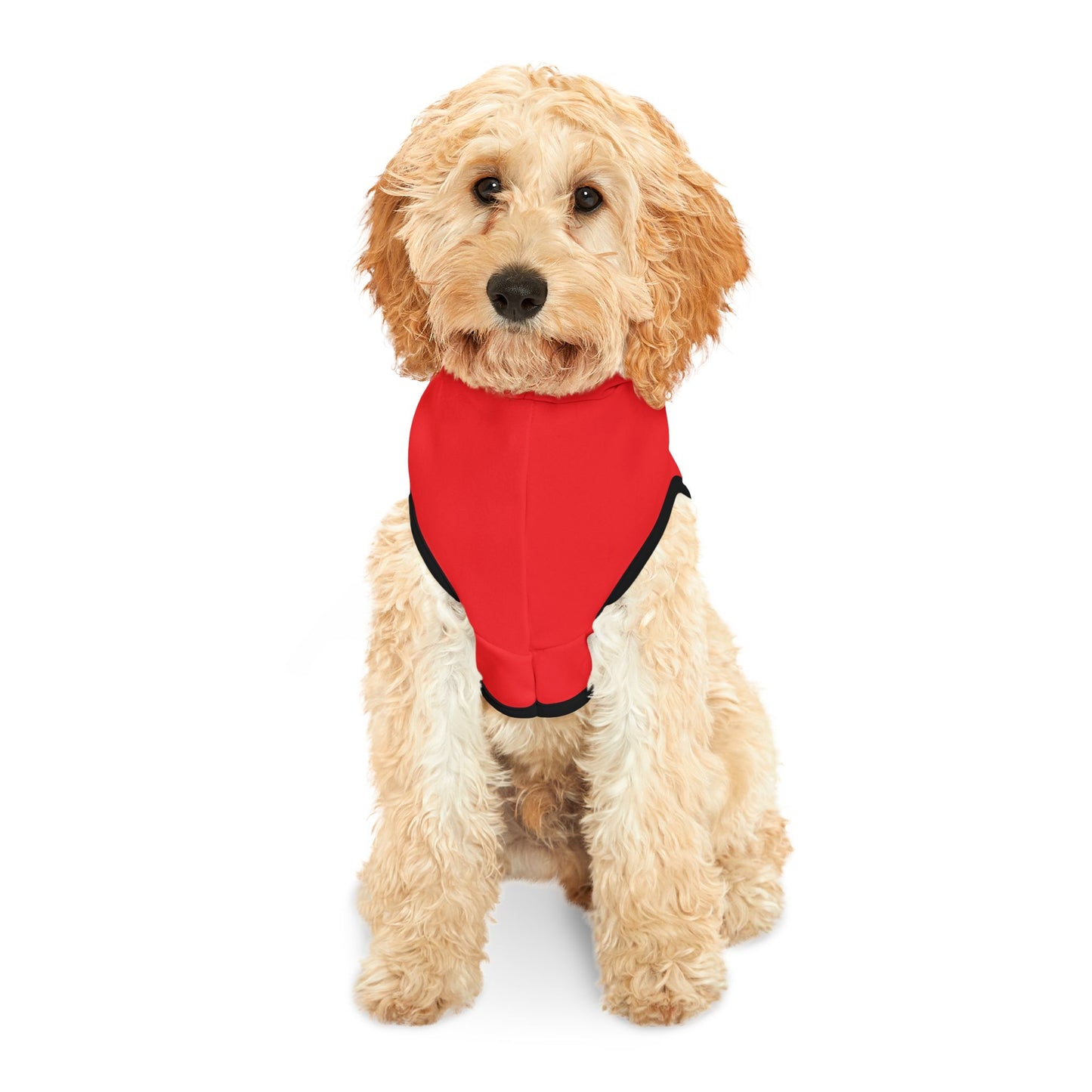 Merry Christmas Pet Hoodie, Holiday Dog Outfit, Festive Cat Clothes, Santa Paws Apparel, Winter Pet Fashion